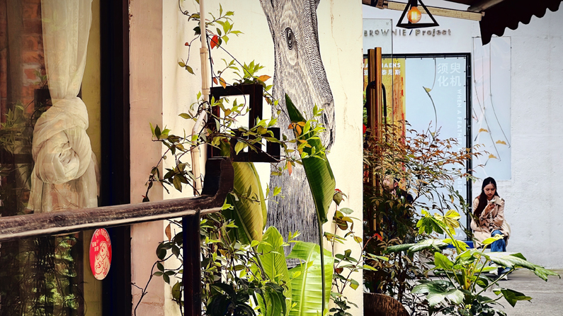 大力推进城市更新 不断提升城市品质