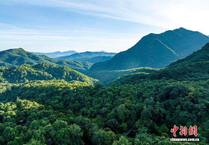 7b2e9809-2d8c-4850-8300-94cd42a0d1fb_zsite