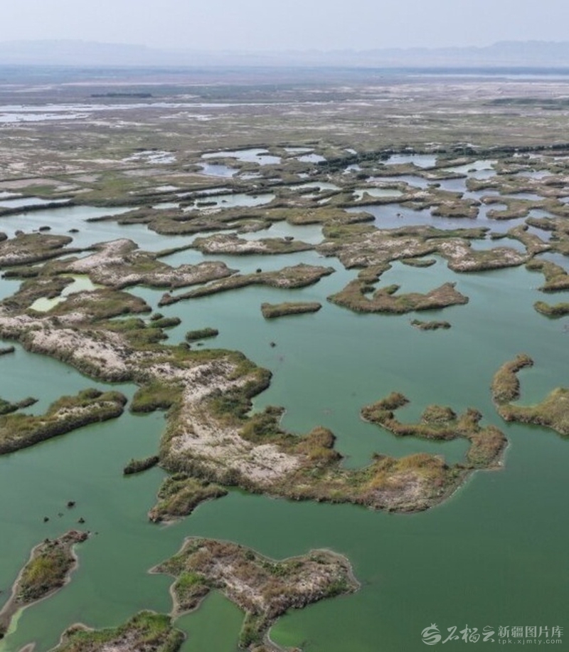 “两山”理念的新疆实践丨重塑大漠边界——塔克拉玛干沙漠边缘阻击战中的艾西