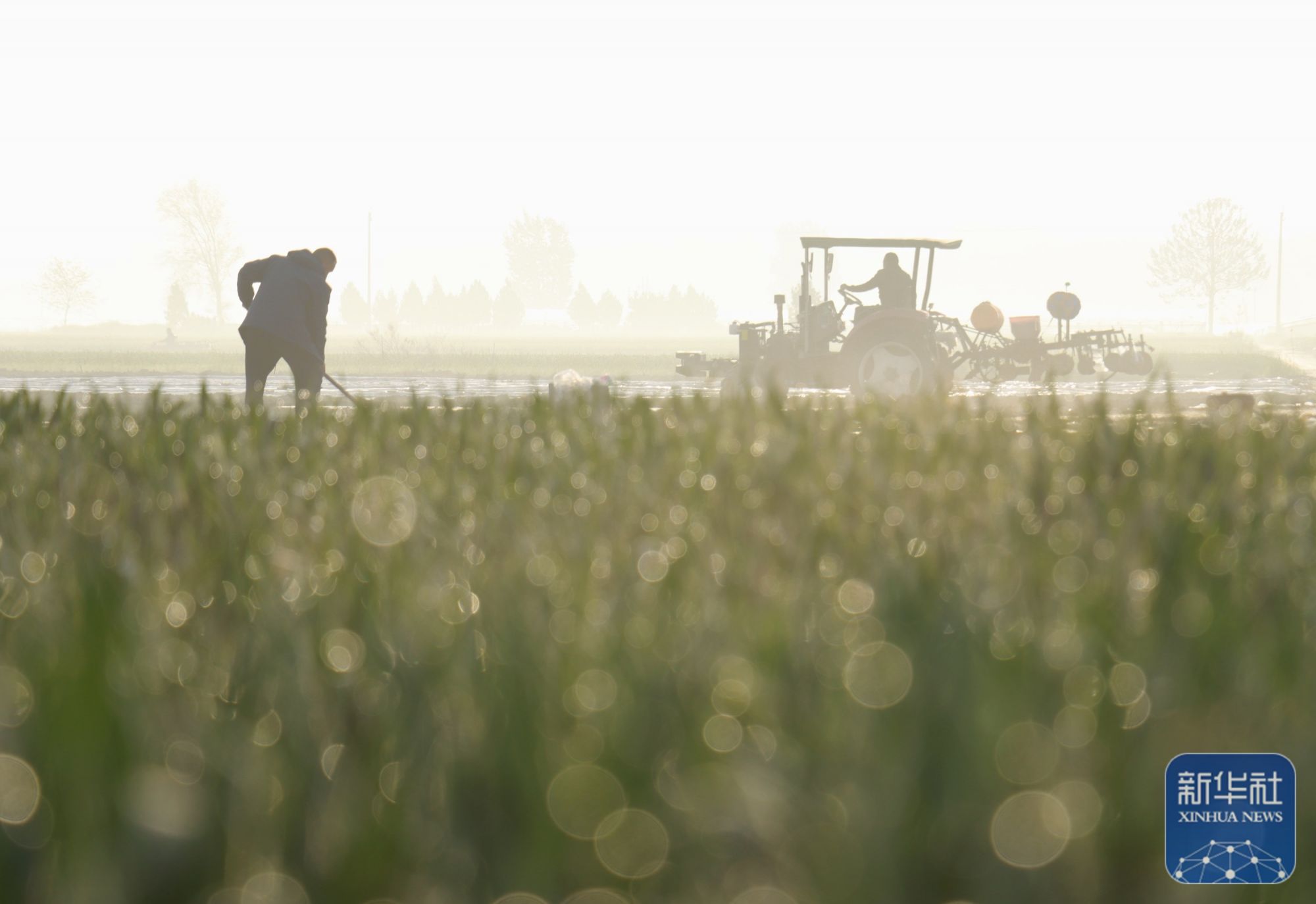 春播千畴绿田野绘新卷