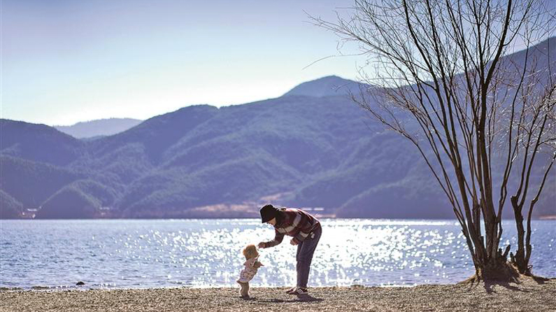 “标准”如何护航宠物经济良性发展