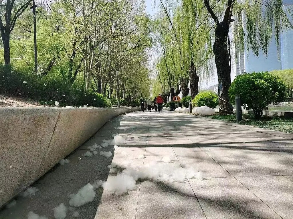 微信图片_20260415193052_2680_6