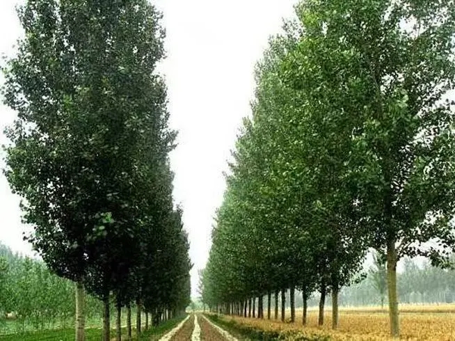 微信图片_20260415193117_2681_6