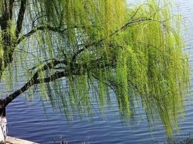 微信图片_20260415193121_2682_6