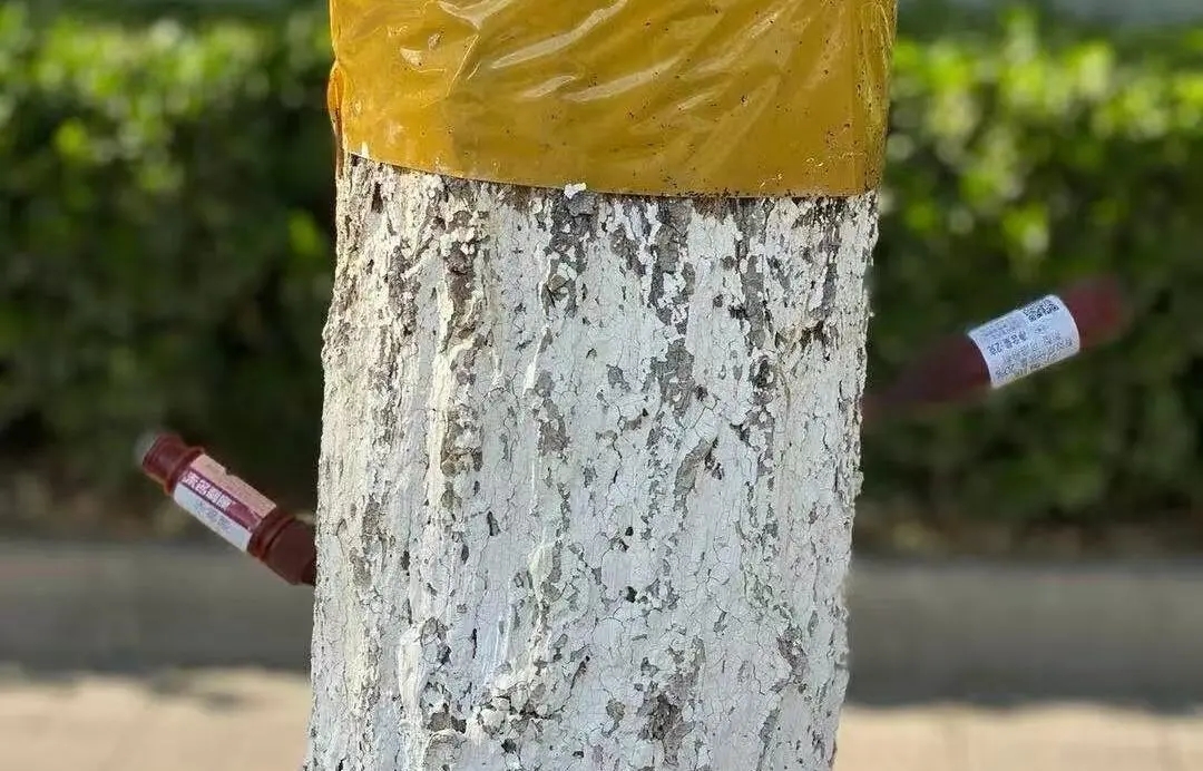 微信图片_20260415193151_2684_6