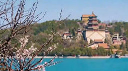 用AI绽放一场良辰美景的游园“京”梦