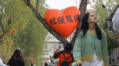 揣上银票逛胡同 北京法源寺街区“丁香和韵”漫游季已上线！