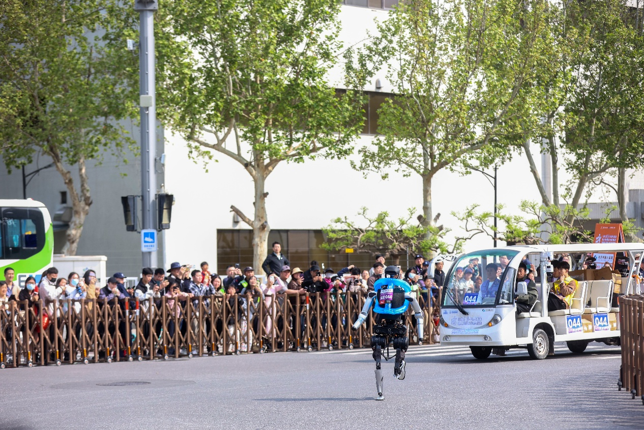 图片7
