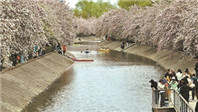 京城“滨水+”玩法迭代