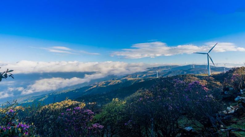 万里同心 共护山河