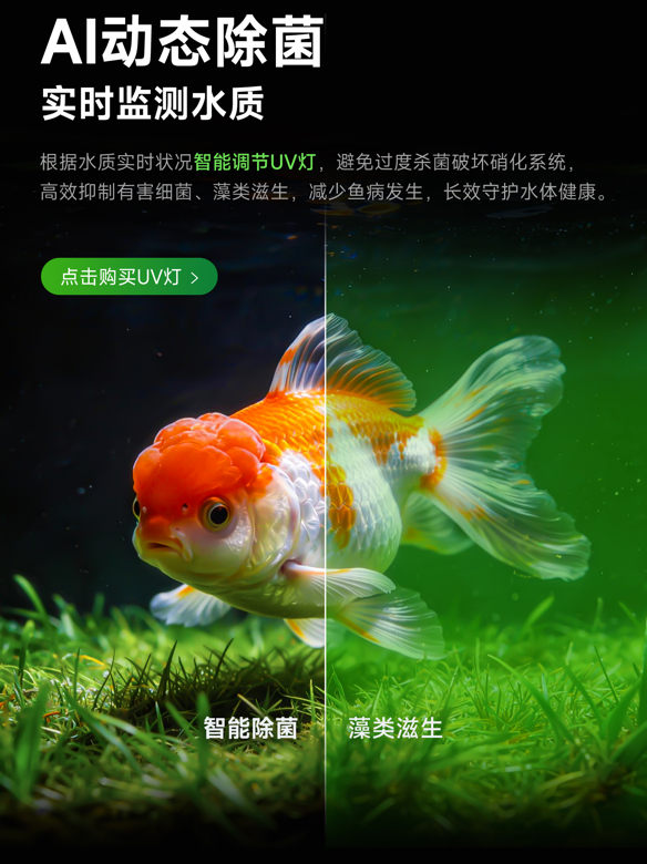 docx_261087cf3c1641478b341d1fb15cf279_4.png