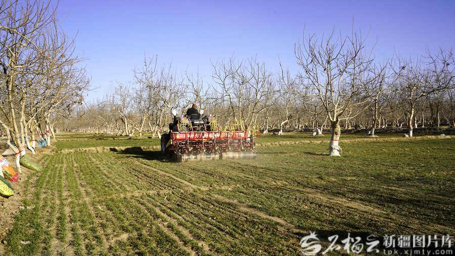 W020260426363477737955