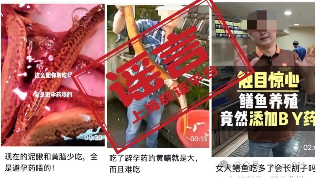 微信图片_20260428100644_2781_6