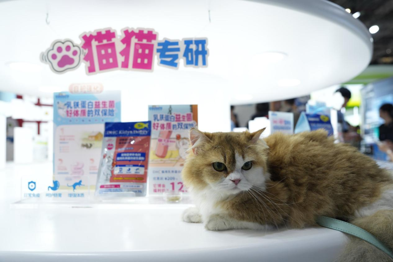 1778136775171761.png 图片9.png