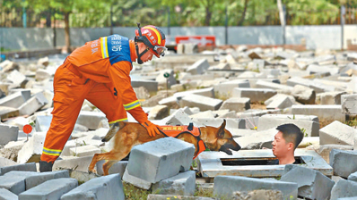 探访北京唯一搜救犬队伍 