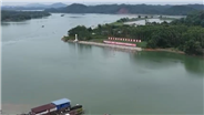 打卡活力运河经济带