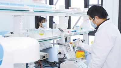 北京先行先试创新基础研究支持范式