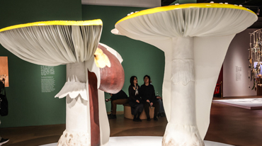 美术馆展览掀起跨界潮，带来了什么
