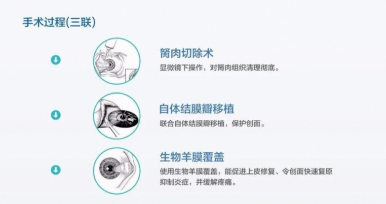 e452e0a7-e96b-4122-bc52-4f4f75dcf4e7.jpg
