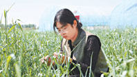 博士农场“播种”人