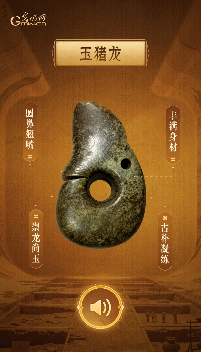 “文物会说话”有声海报|稀世金玉齐聚,见证多元一体文明华章 最大玉猪龙,解锁史前崇龙文脉
