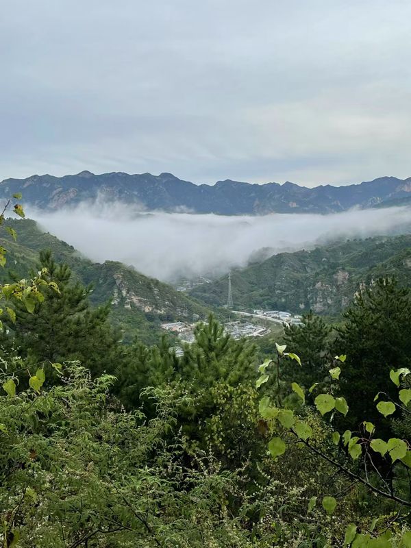 微信图片_2026-05-18_143221_939.jpg