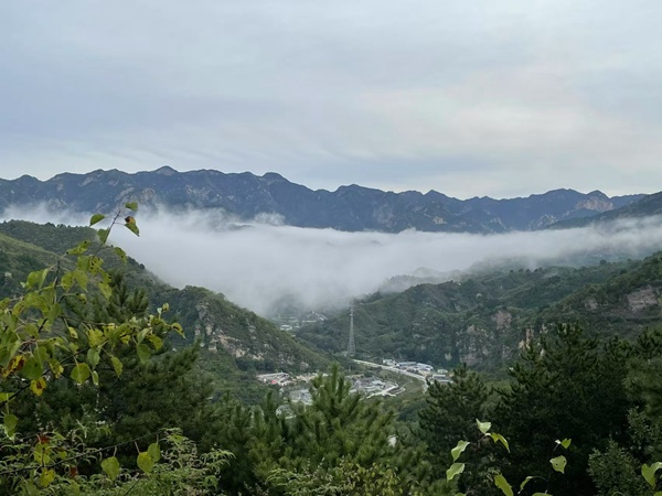 微信图片_2026-05-18_143237_673.jpg