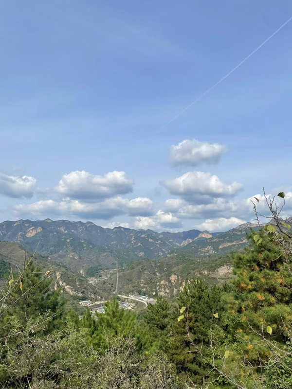 微信图片_2026-05-18_143228_672.jpg