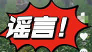 济源公安查处一起谣言案