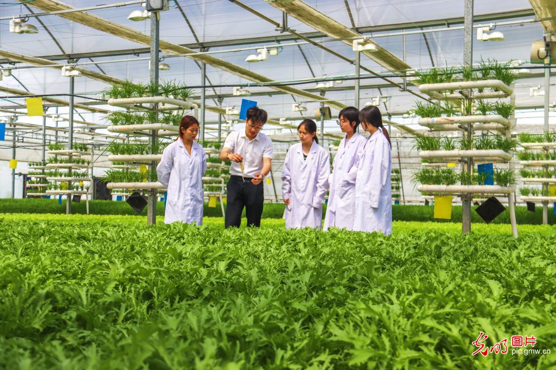 【职引未来】课堂对接岗位 产教融合护航青年逐梦路 【职引未来】课堂对接岗位 产教融合护航青年逐梦路