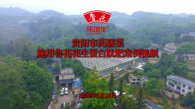 一肥六效鲁花花生肽肥的化肥替代之路(图5)