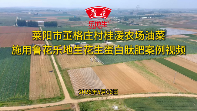 一肥六效鲁花花生肽肥的化肥替代之路(图3)