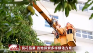 各地探索多样绿化方案