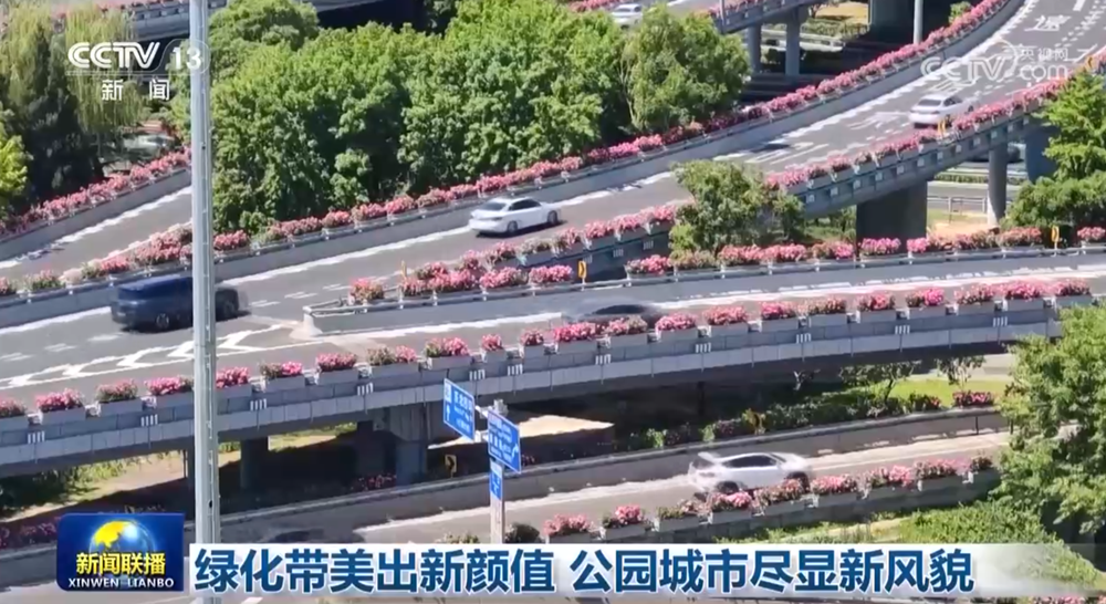 绿化带美出新颜值公园城市尽显新风貌