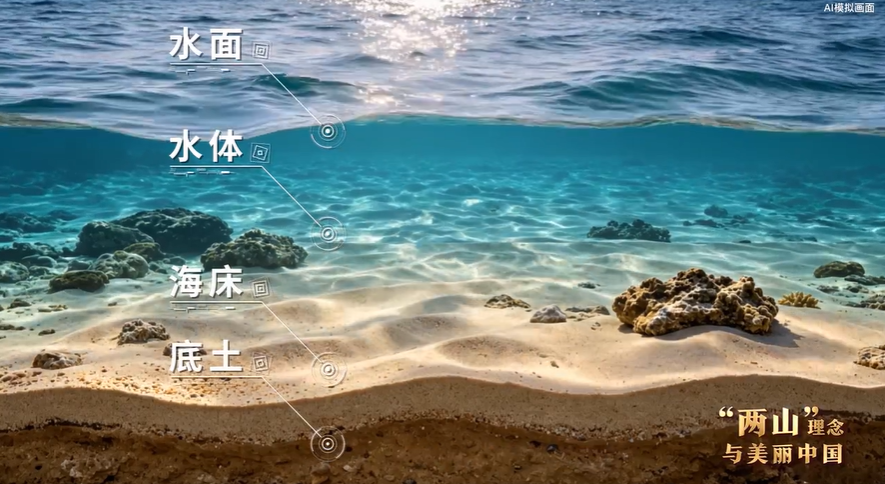 &ldquo;两山&rdquo;理念与美丽中国丨向海要空间 立体耕耘激活蓝色经济