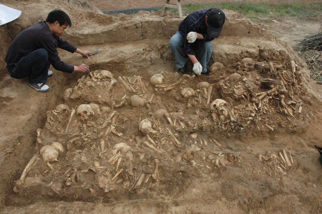 新研究:仰韶先民基因在黄河中游连续遗传6200年