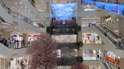 暗访西安赛格商铺工作人员:直营店无法
