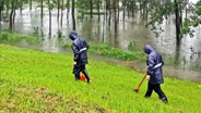 风雨护长堤