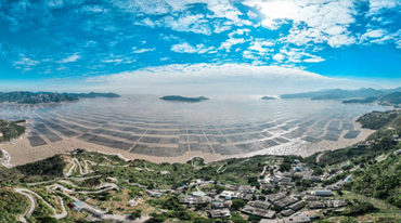 开局之年看中国丨浙江苍南：一杆激起三重浪