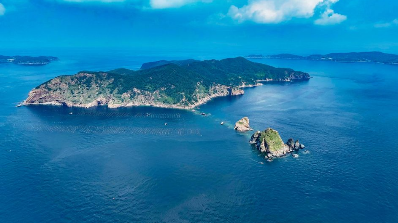 辽宁长山群岛候鸟栖息地成功纳入世界自然遗产