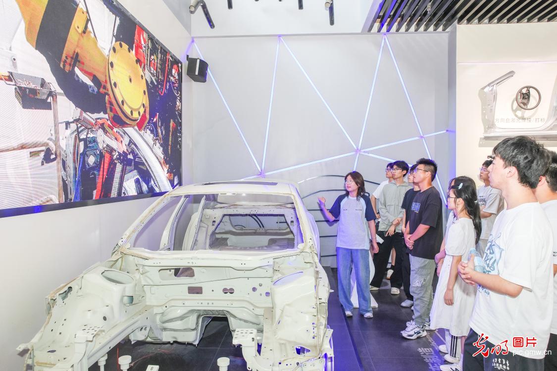 青年学子在一线：锤炼专业本领，服务地方发展