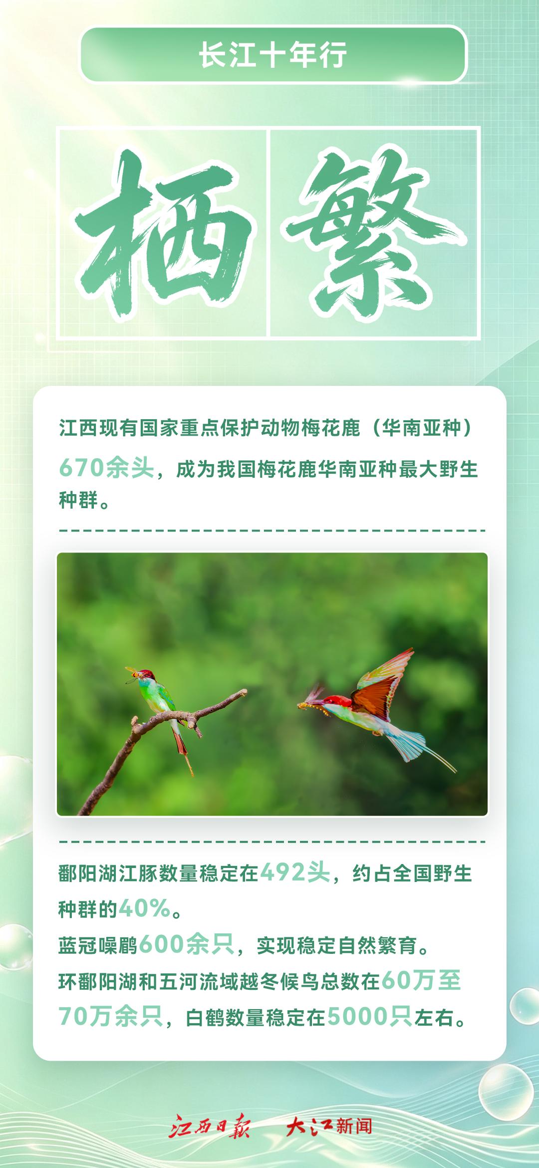 长江4.jpg