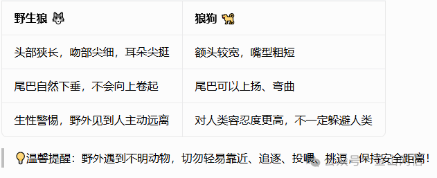 微信图片_20260820142911_100_2