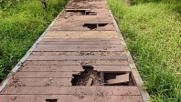 这个公园栈道破损严重  
