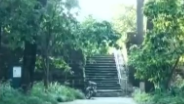 乐山、蓬莱迎来打卡热