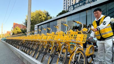 北京街头，共享单车整齐如“复制粘贴”