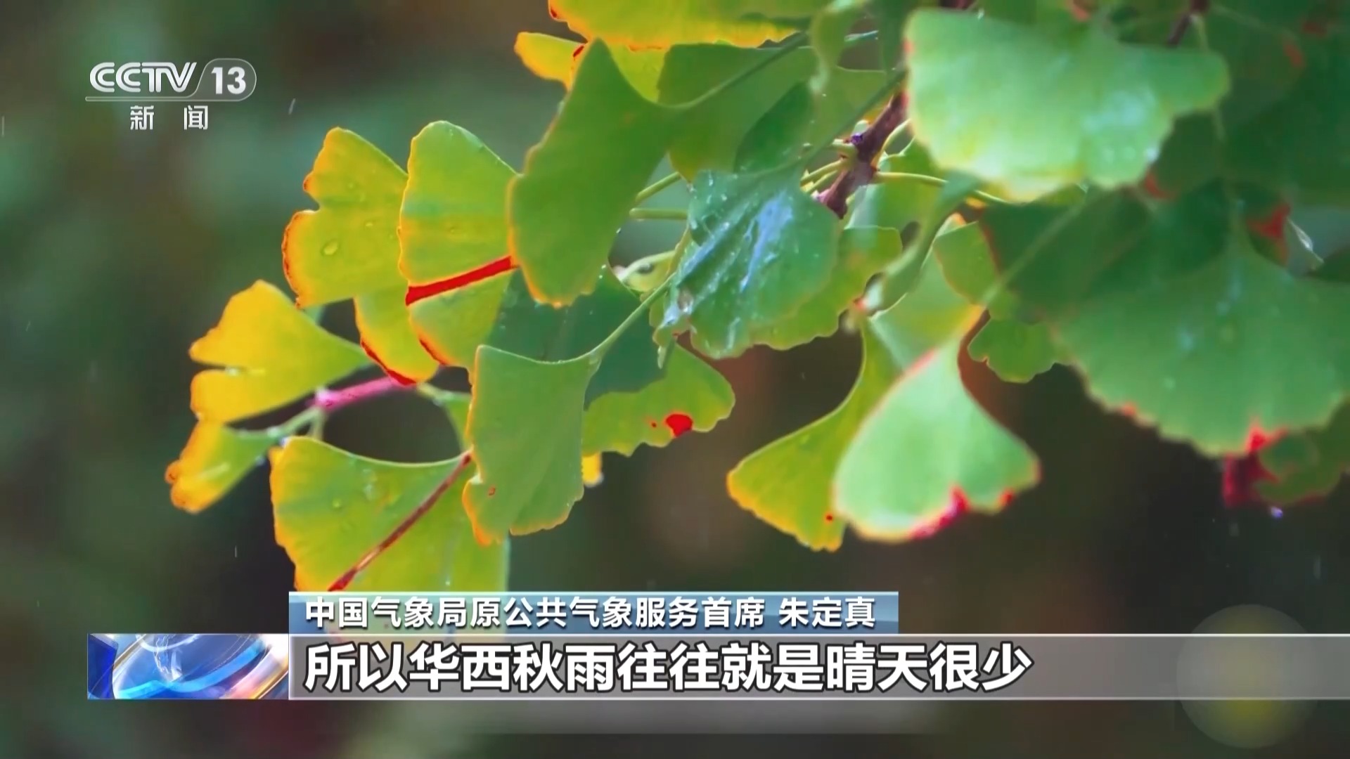 西南地区雨水频繁今年的华西秋雨来了吗?
