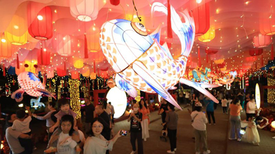 安贞社区灯会启幕 流光溢彩点亮邻里之夜