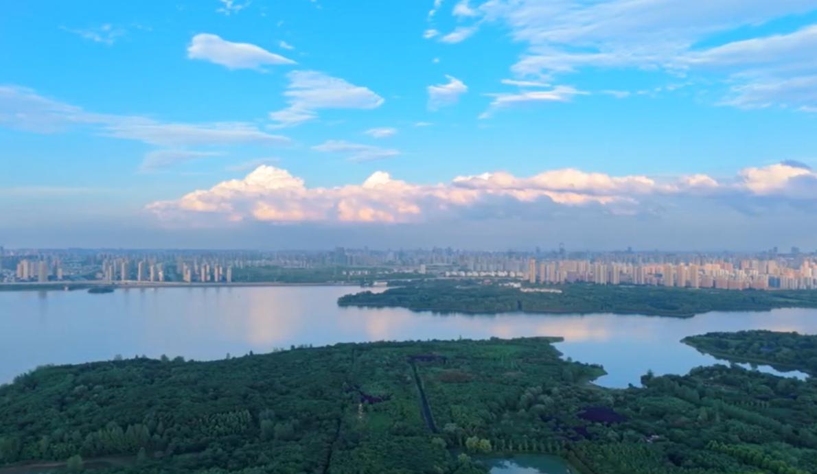 【理响中国&middot;领航未来】向善而行：守牢科技发展安全线