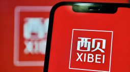西贝走到岔路口